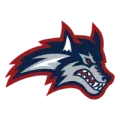 Stony Brook Logo