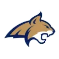 Montana State Logo