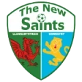 The New Saints Logo