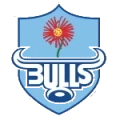 Bulls Logo