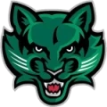 Binghamton Bearcats Logo