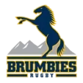 Brumbies Logo